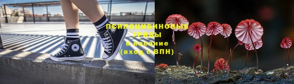 гидра Алзамай