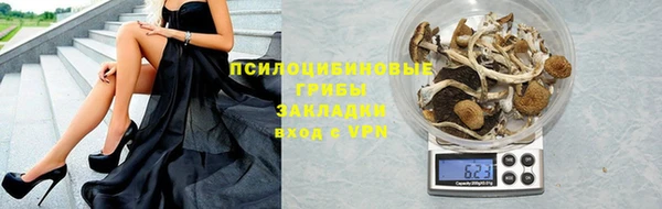 гидра Алзамай
