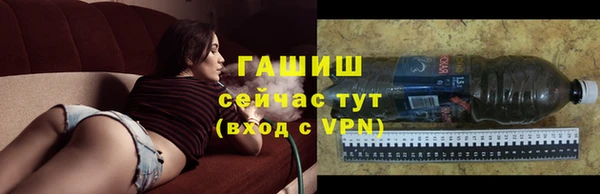 гидра Алзамай