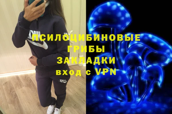 гидра Алзамай