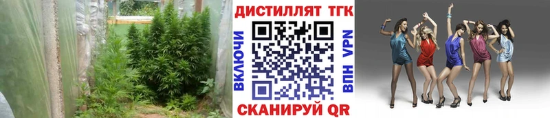 ТГК THC oil  Бологое 