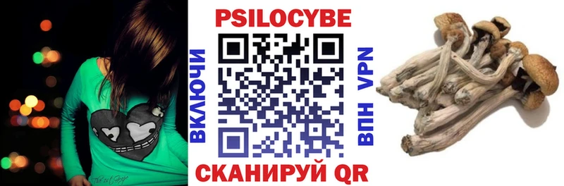 Галлюциногенные грибы Psilocybine cubensis  Бологое 
